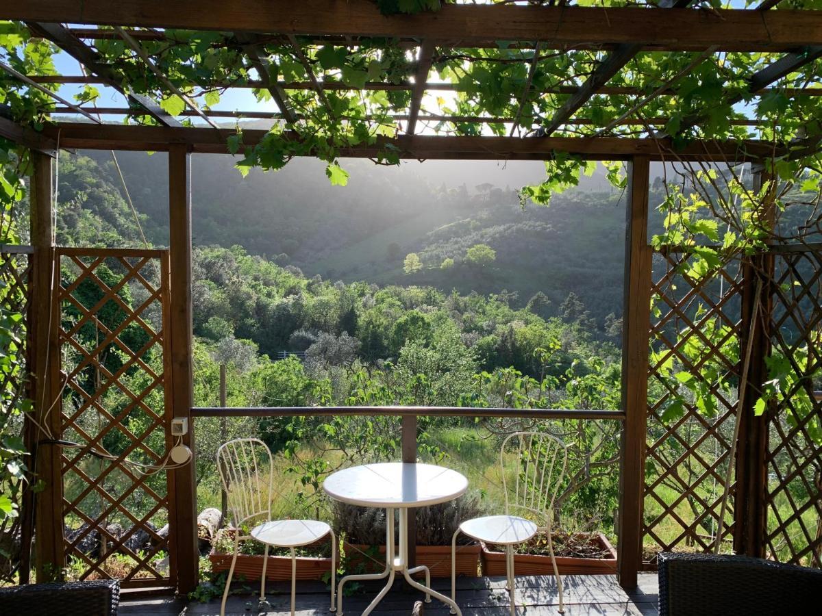 Barco Mediceo B&B In Toscana Carmignano Exterior photo